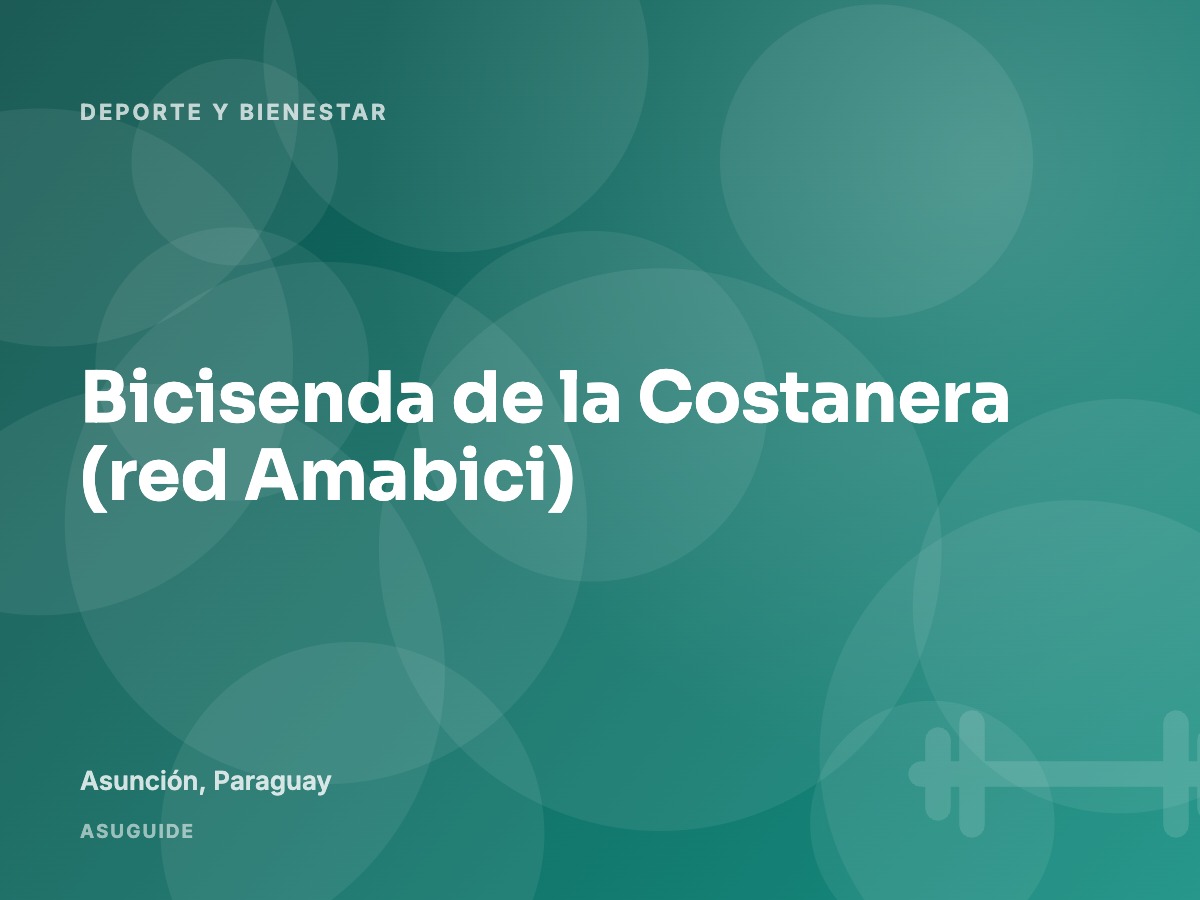 Bicisenda de la Costanera (red Amabici)