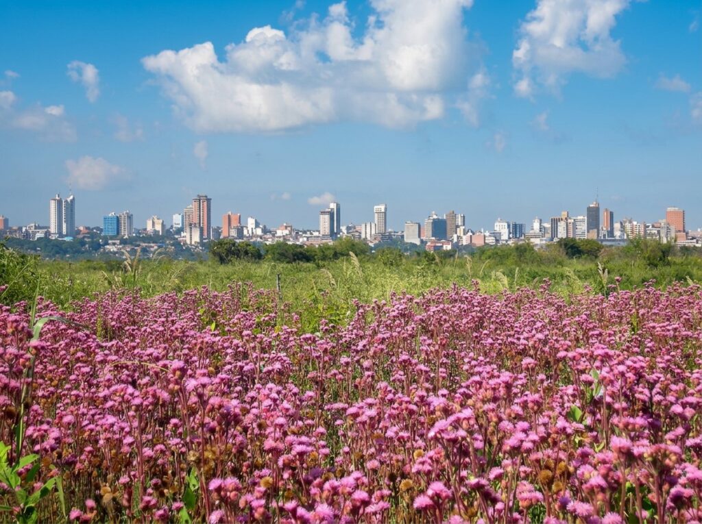 Skyline de Asunción desde la bahía