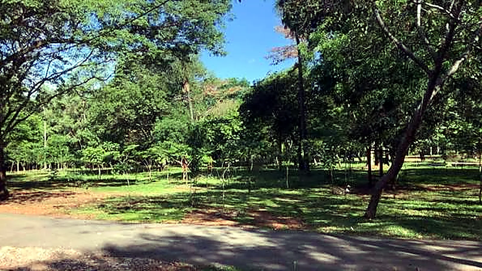 Parque Mburicao