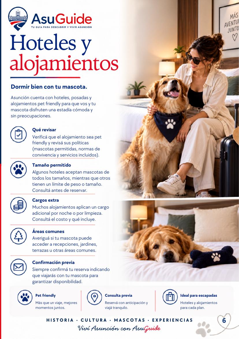 Página 6 de la guía