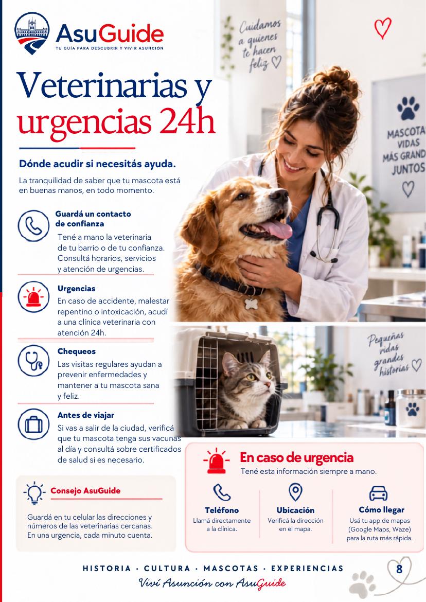 Página 8 de la guía