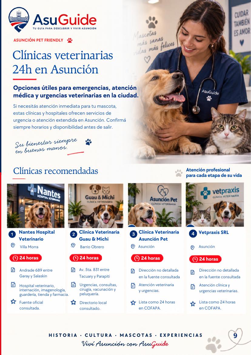Página 9 de la guía