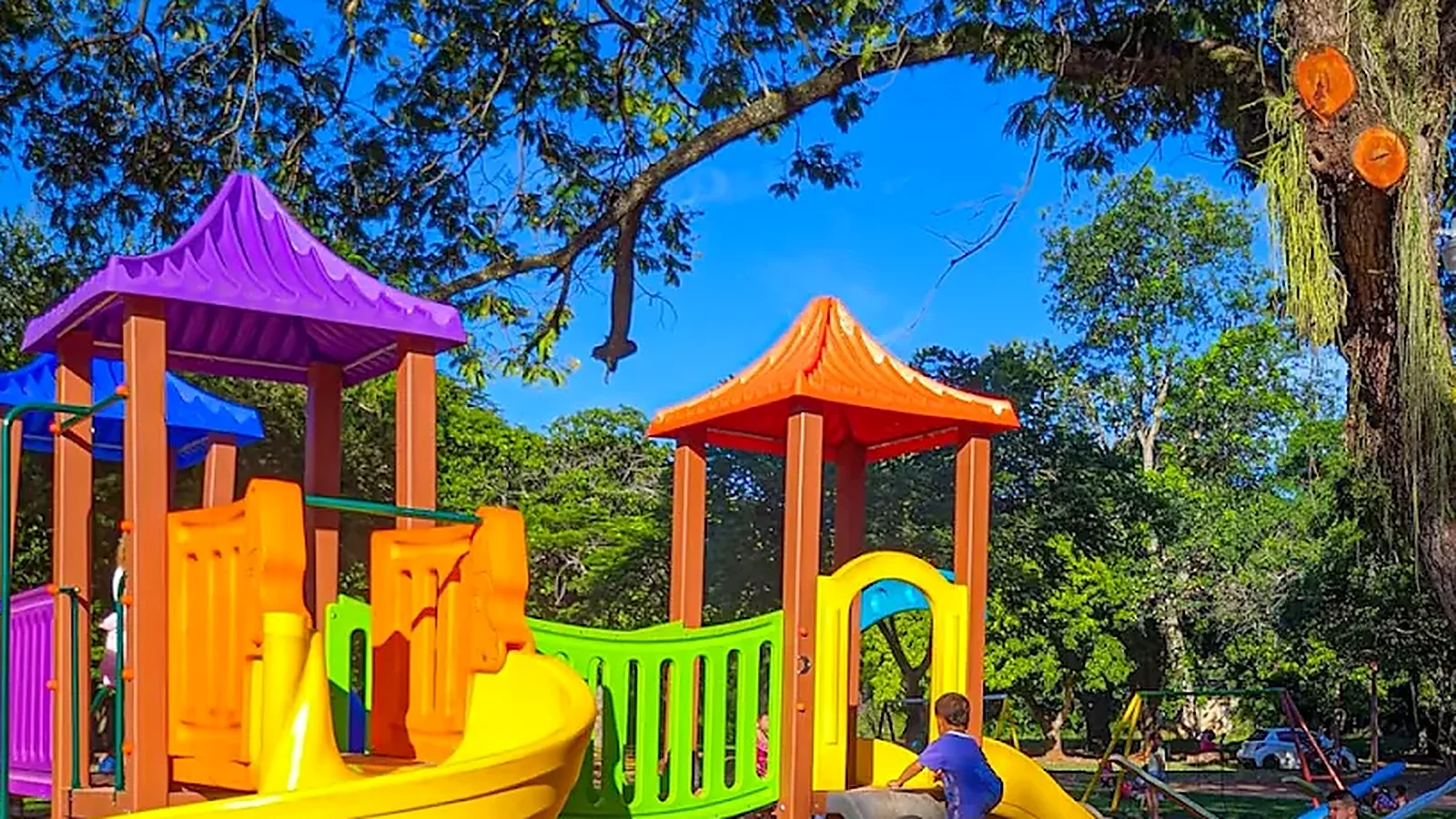 Recreativo del Jardín Botánico Park