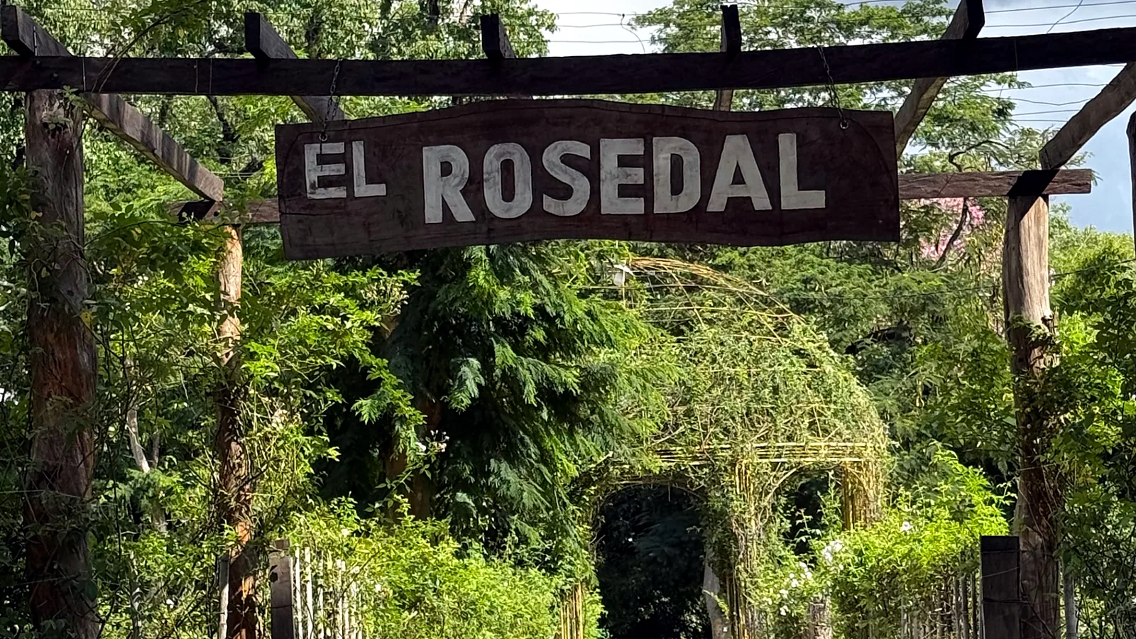 Rosedal del Jardín Botánico