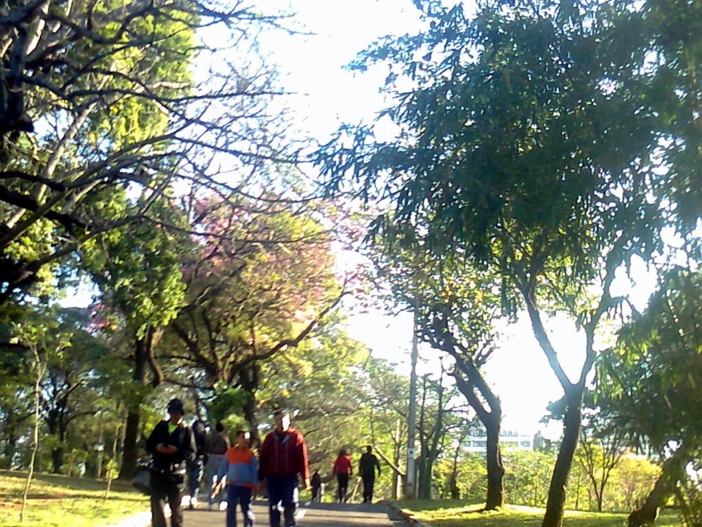 Foto: Alejandrovelazquez3 / Wikimedia Commons (CC BY-SA 4.0)