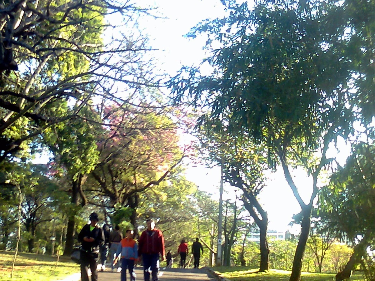 Parque Carlos Antonio López